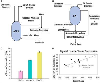 Effects of Extractive Ammonia Pretreatment on the Ultrastructure and Glycan Composition of Corn Stover